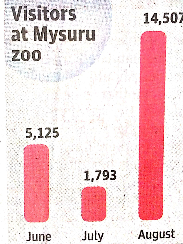 Math, Language and Newspaper